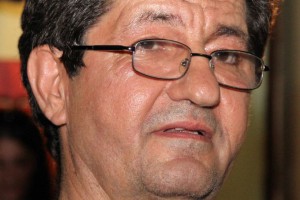 Na veselju kod Štefanekovih