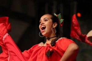 Svečano otvaranje XV Interetno festivala