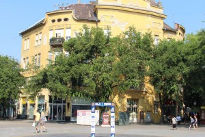 55 maratona za 55 uzastopnih dana - podrška maratoncu za Ginisa