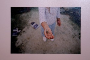 Otvaranje izložbe fotografija Nenada Maleševića