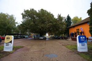 Svečanost povodom 55 godina postojanja preduzeća DES