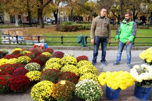 Jesenji festival cveća "Garden flora"