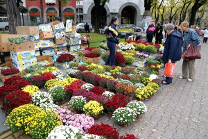 Jesenji festival cveća "Garden flora"
