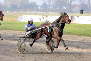 Konjička trka Grada Subotice