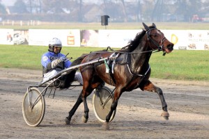 Konjička trka Grada Subotice