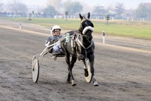 Konjička trka Grada Subotice