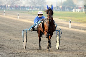 Konjička trka Grada Subotice