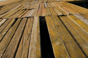 Subota na Paliću kroz fotografije