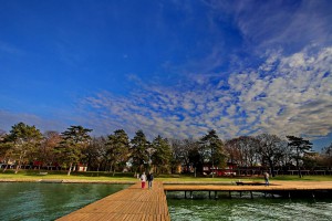 Subota na Paliću kroz fotografije