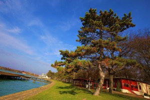 Subota na Paliću kroz fotografije