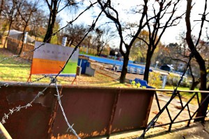 Subota na Paliću kroz fotografije