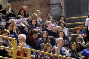 Koncert Zdravka Čolića u Subotici | Album #1