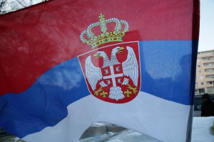 Organizovani odlazak po badnjak u Kelebijsku šumu