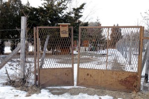 Problem građana MZ "Zorka" sa agresivnim psom