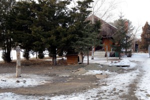 Problem građana MZ "Zorka" sa agresivnim psom