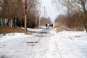 Problem građana MZ "Zorka" sa agresivnim psom