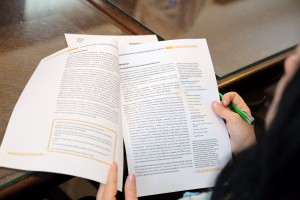 Migranti - izazov za lokalnu bezbednost