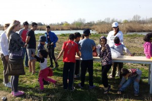 Ekološka akcija "Zajedno za jezero Palić"