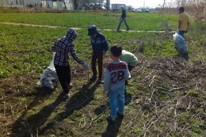 Ekološka akcija "Zajedno za jezero Palić"