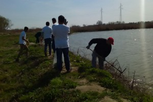 Ekološka akcija "Zajedno za jezero Palić"