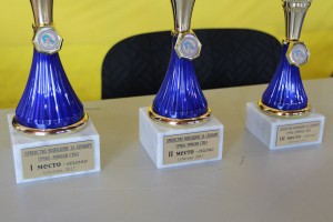 Prvenstvo Vojvodine u rvanju (seniori)