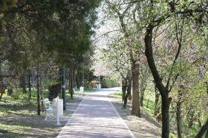 Obilazak saniranih trotoara na Paliću i novoizgrađene pešačke staze pored jezera