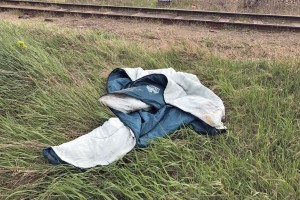 Migranti u improvizovanom kampu kod "Pionira"