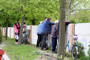 Fudbal: Bačka 1901 - Radnički (NP)