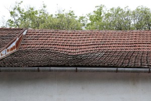 Poseta Gerontološkom klubu Centar I