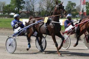 Otvaranje kasačke sezone