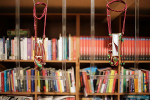 Noć muzeja 2017 u Američkom kutku