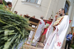 Spasovdanske svečanosti - Litija kroz grad