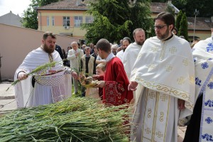 Spasovdanske svečanosti - Litija kroz grad