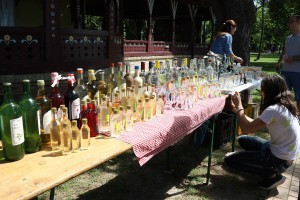 Dan Palića - Urbanovi dani