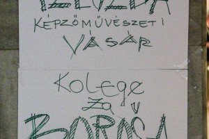 Prodajna izložba namenjena lečenju Đerđa Boroša