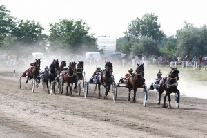 Kasačke trke - Subotička milja