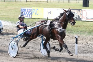 Kasačke trke - Subotička milja