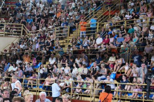 Predavanje motivacionog govornika Nika Vujičića