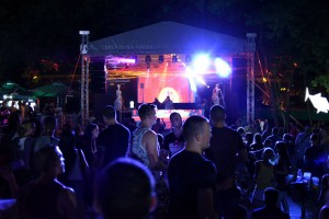 Summer3p 2017 - druga noć