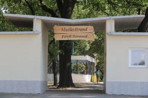 Summer3p 2017 - četvrti dan "Family day"