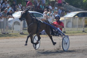 Konjičke trke "Dužijanca 2017" - drugi dan, prvi deo