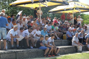 Konjičke trke "Dužijanca 2017" - drugi dan, prvi deo