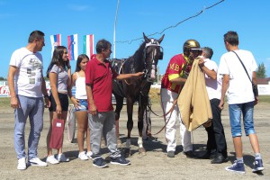 Konjičke trke "Dužijanca 2017" - drugi dan, prvi deo