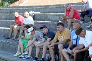 Konjičke trke "Dužijanca 2017" - glavna trka