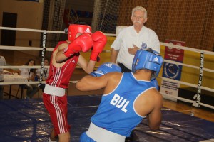 35. Vojvođanska zlatna rukavica - borbe za medalje