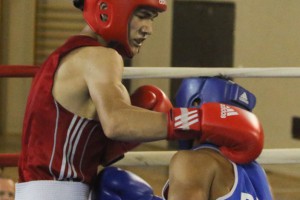 35. Vojvođanska zlatna rukavica - borbe za medalje