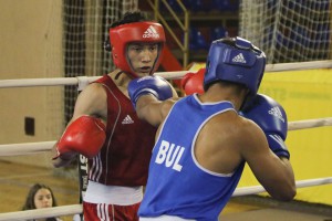 35. Vojvođanska zlatna rukavica - borbe za medalje