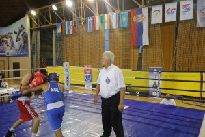 35. Vojvođanska zlatna rukavica - borbe za medalje