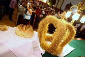 Dan Dužijance - Svečana akademija