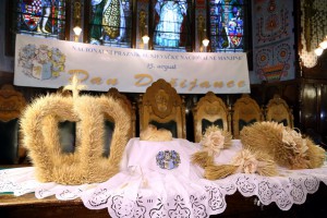 Dan Dužijance - Svečana akademija